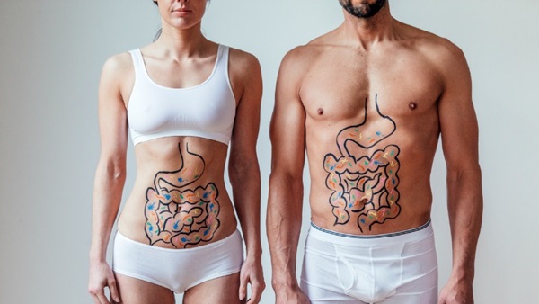 volkoren darmen gezond